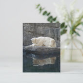 反射付き北極グマ ポストカード (スタンド正面)