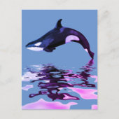 反射付き孤立キラークジラ ポストカード (正面)