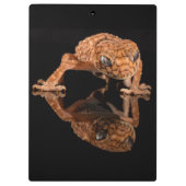 反射付き小さくかわいいトカゲ爬虫類 クリップボード (裏面)