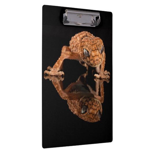 反射付き小さくかわいいトカゲ爬虫類 クリップボード (右)