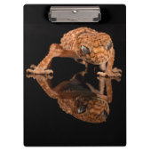 反射付き小さくかわいいトカゲ爬虫類 クリップボード (正面)