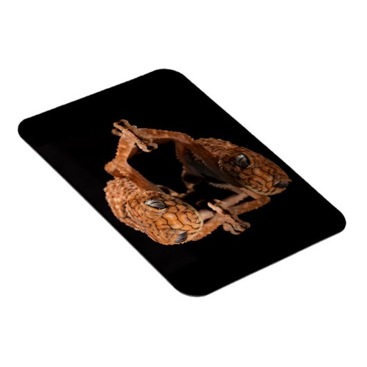 反射付き小さくかわいいトカゲ爬虫類 マグネット (右側)