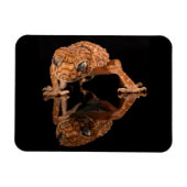 反射付き小さくかわいいトカゲ爬虫類 マグネット (横)