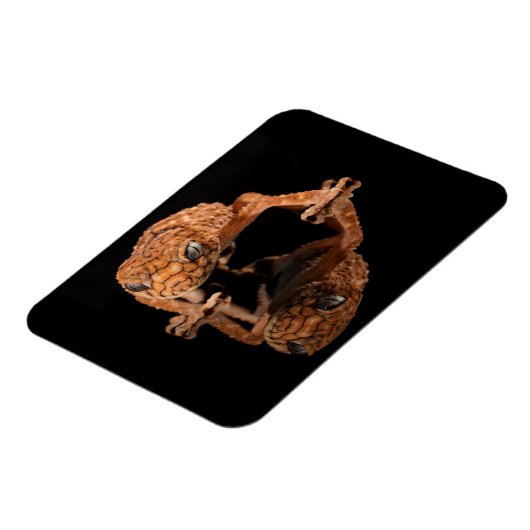 反射付き小さくかわいいトカゲ爬虫類 マグネット (左側)