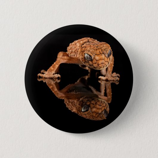 反射付き小さくかわいいトカゲ爬虫類 缶バッジ (正面)
