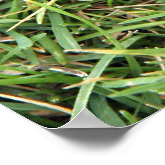 反射性ゴルフ ポスター (角)