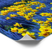 反射性水仙 ポスター (角)