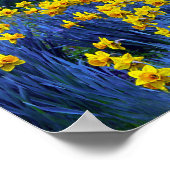 反射性水仙 ポスター (角)