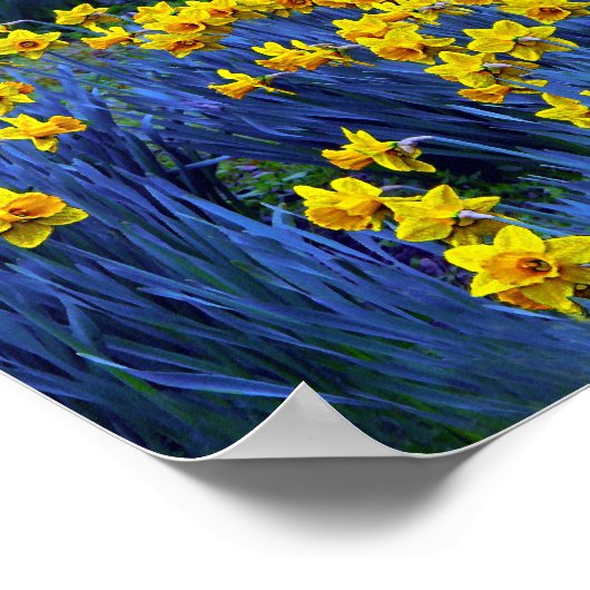 反射性水仙 ポスター (角)