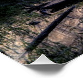 反射滝 ポスター (コーナー)