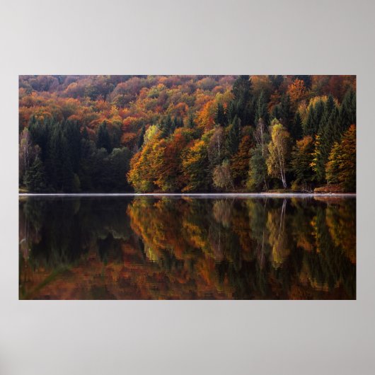 反射色 ポスター (正面)