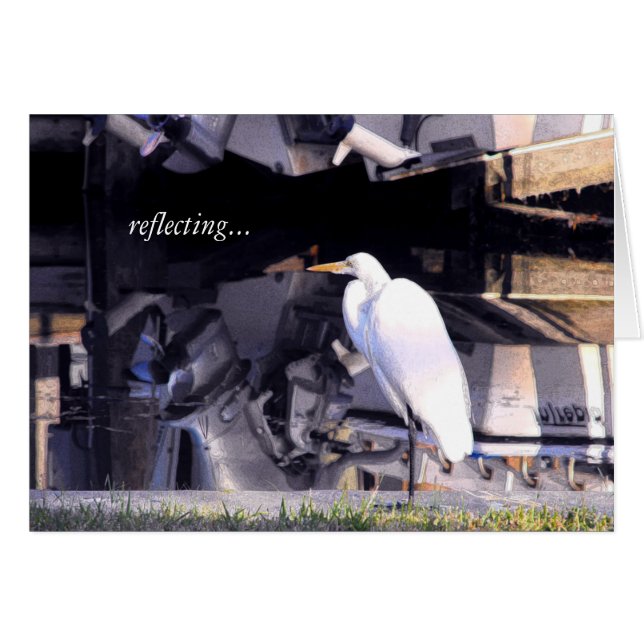 反射… (正面横)