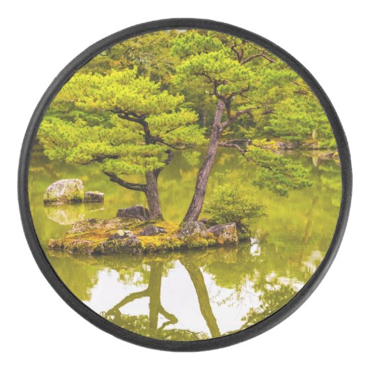 反射 アイスホッケーパック (正面)