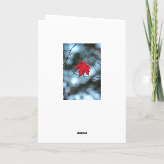 反射 カード (裏面)