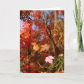 反射 カード (正面)