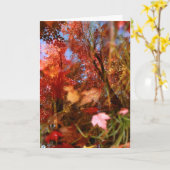 反射 カード (黄色い花)