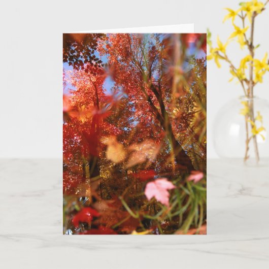 反射 カード (黄色い花)