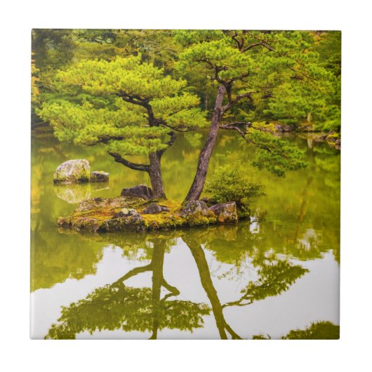 反射 タイル (正面)