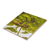 反射 タイル (側面)