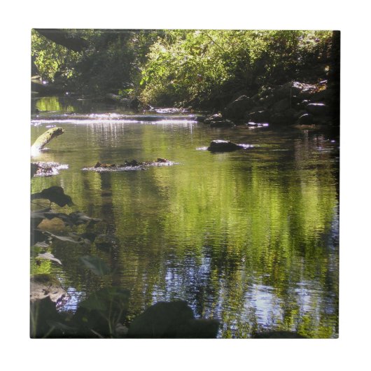 反射 タイル (正面)