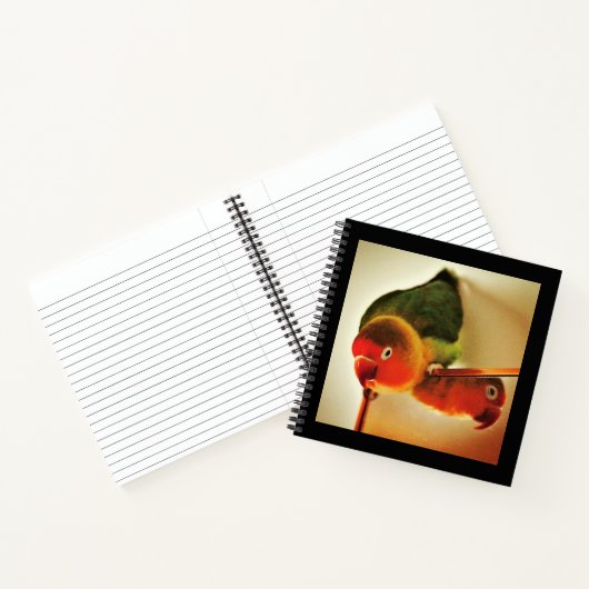 反射 ノートブック (内部)