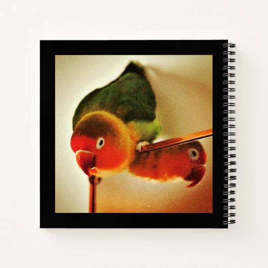 反射 ノートブック (裏面)