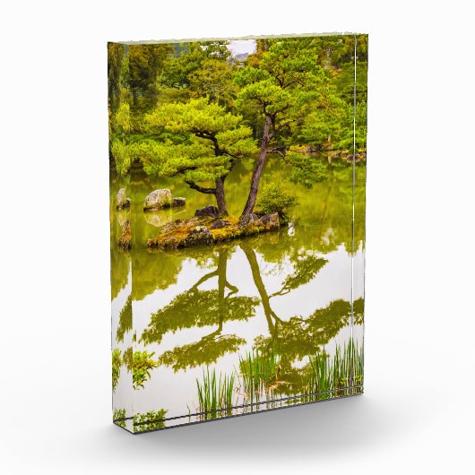 反射 フォトブロック (左)