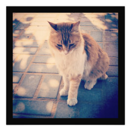 反射 フォトプリント           