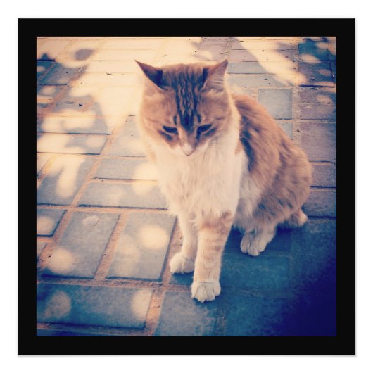 反射 フォトプリント            (正面)