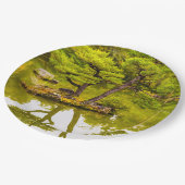 反射 ペーパープレート (アングル)