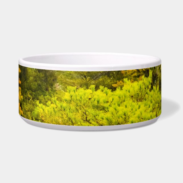 反射 ボウル (左)