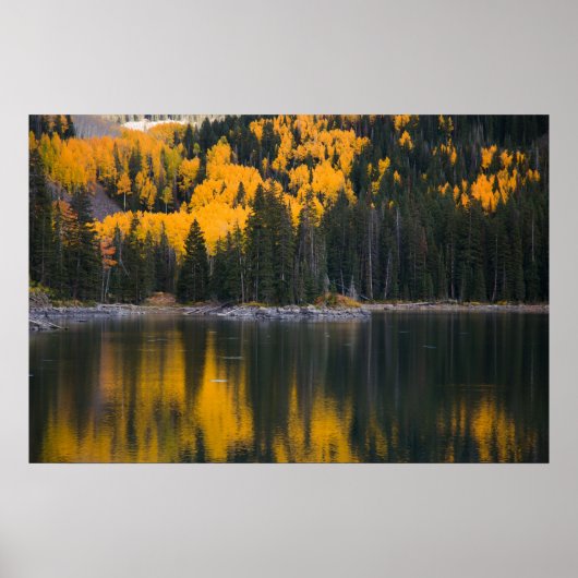 反射 ポスター (正面)