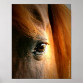 反射 ポスター (正面)