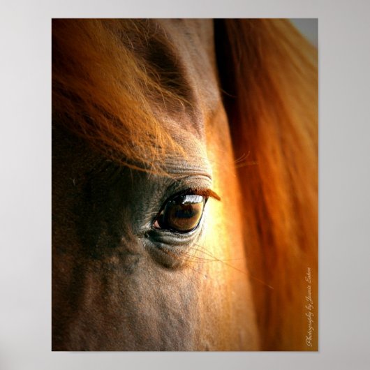 反射 ポスター (正面)