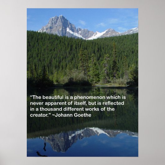 反射 ポスター (正面)