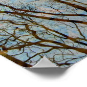 反射 ポスター (角)