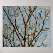 反射 ポスター (正面)