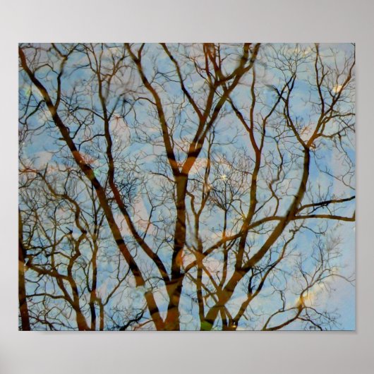 反射 ポスター (正面)