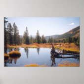 反射 ポスター (正面)