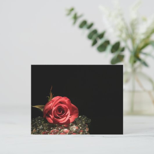 反射 ポストカード (スタンド正面)