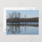 反射 ポストカード (正面/裏面)