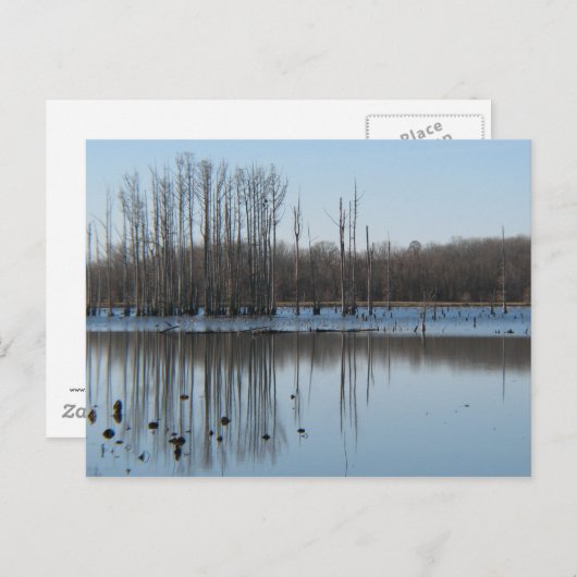 反射 ポストカード (正面/裏面)