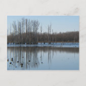 反射 ポストカード (正面)