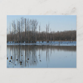 反射 ポストカード