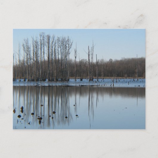 反射 ポストカード (正面)