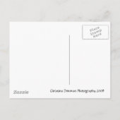 [反射]：日付を保存 案内ポストカード (裏面)