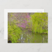 反射(自然) ポストカード (正面/裏面)