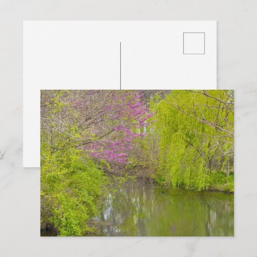 反射(自然) ポストカード (正面/裏面)