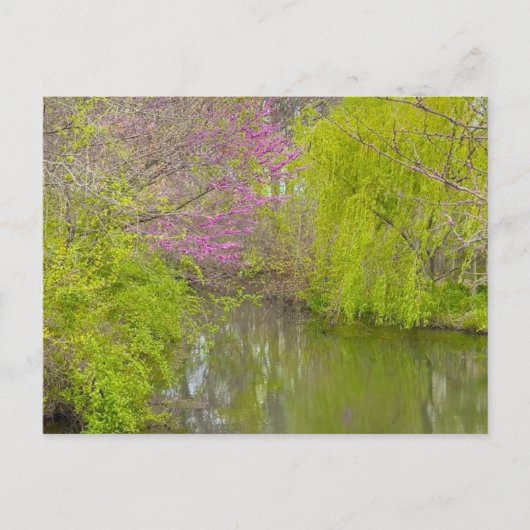 反射(自然) ポストカード (正面)