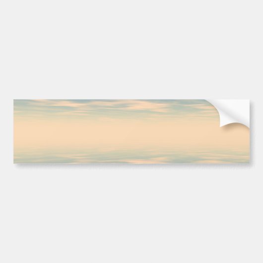 反射II バンパーステッカー (正面)